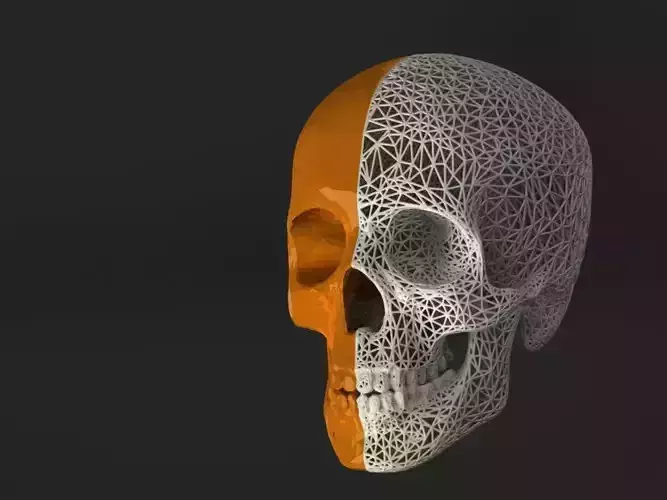 SKULL WITH LATTICE