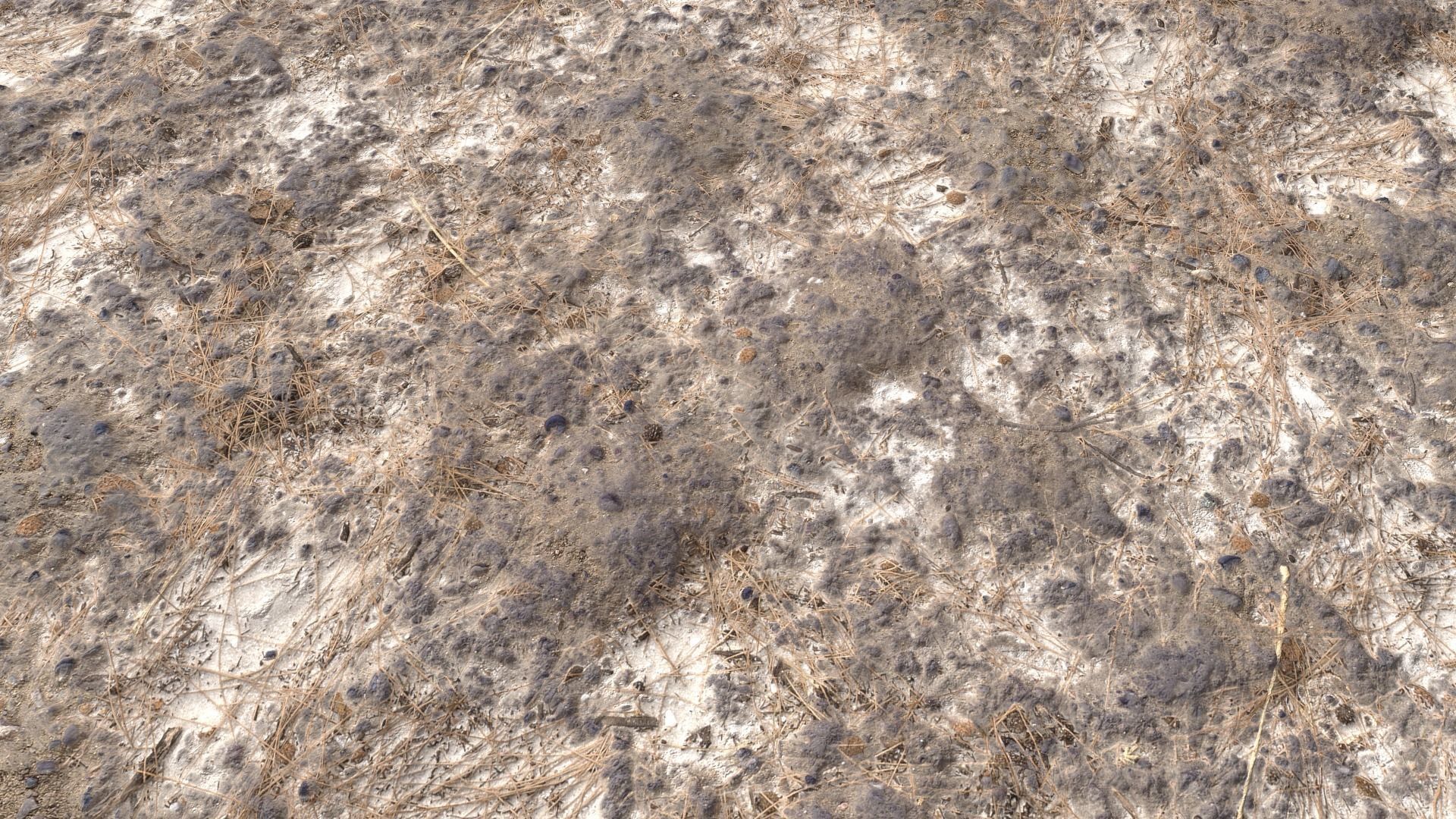 Rough Terrain PBR 7 Texture_12