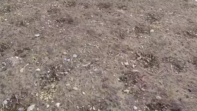 Rough Terrain PBR 7 Texture
