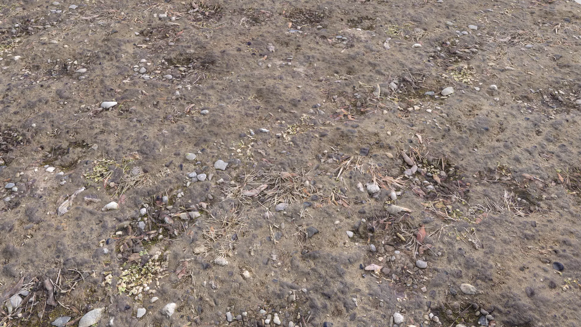 Rough Terrain PBR 7 Texture_0