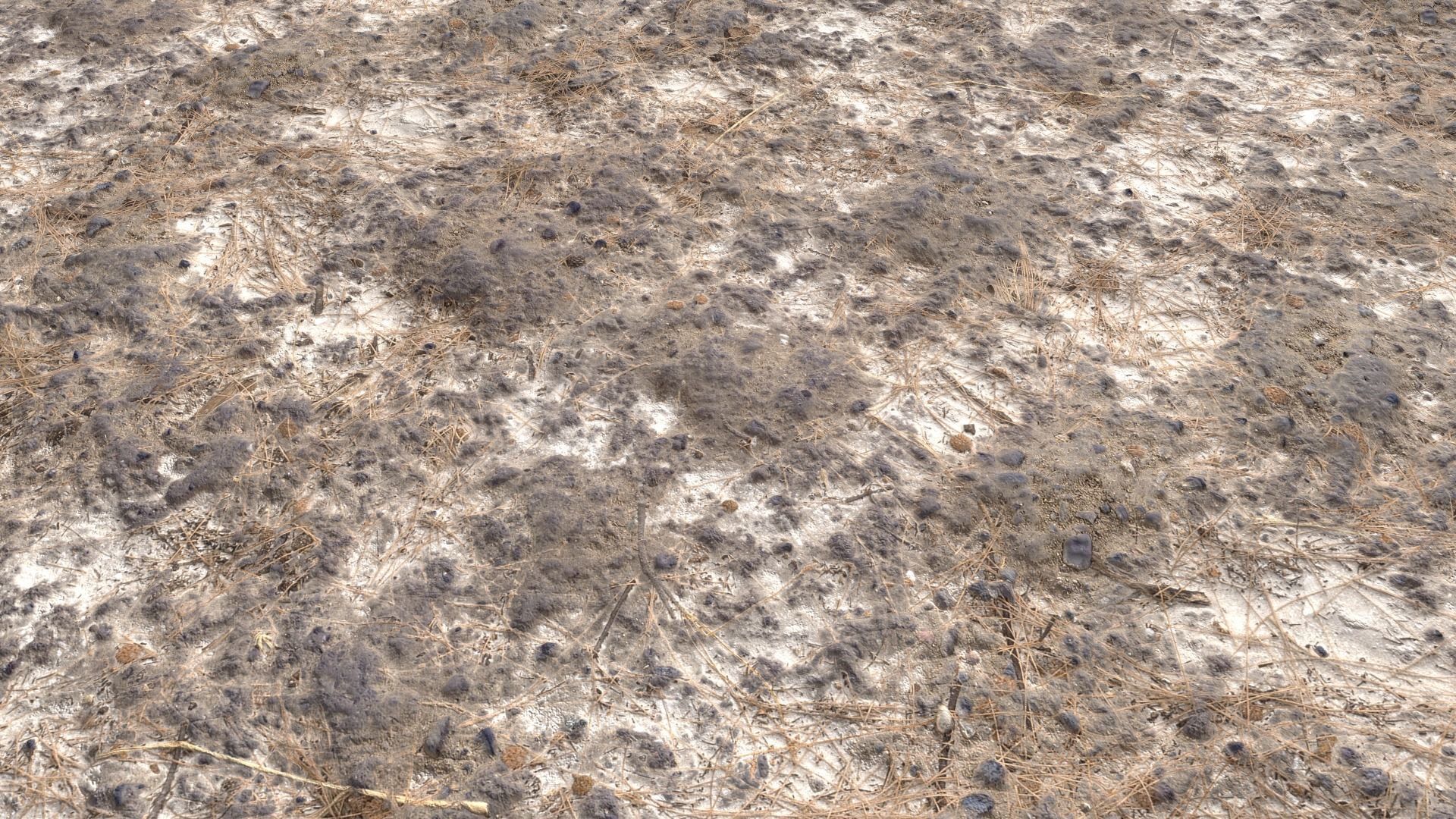 Rough Terrain PBR 7 Texture_9