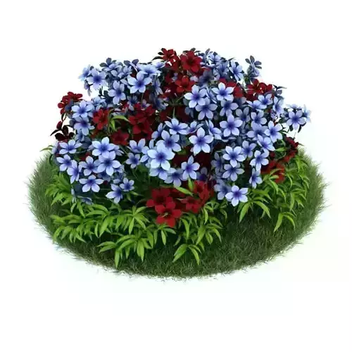 Flowers   Red And Blue