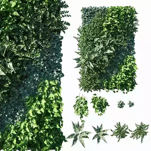 Vertical garden  Green wall 05 3D model