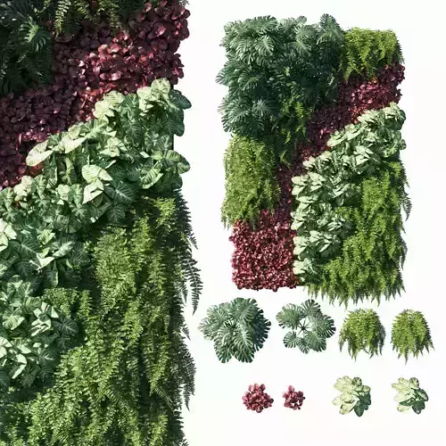 Vertical garden  Green wall 06