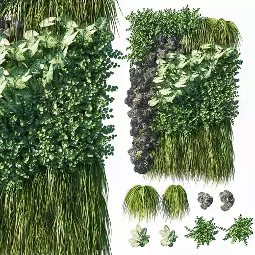 Vertical garden  Green wall 07