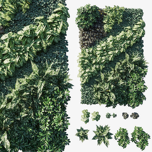 Vertical garden  Green wall 08 3D model