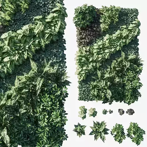 Vertical garden  Green wall 08