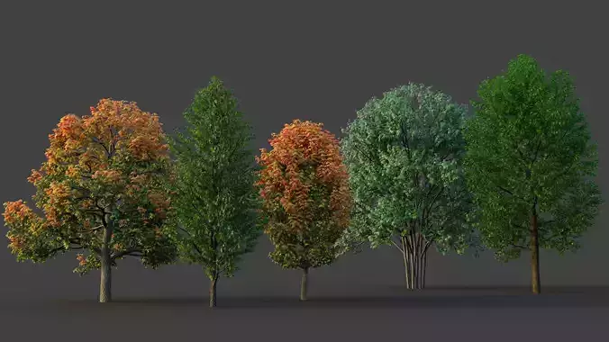 XfrogPlants Maple Pack  3D model