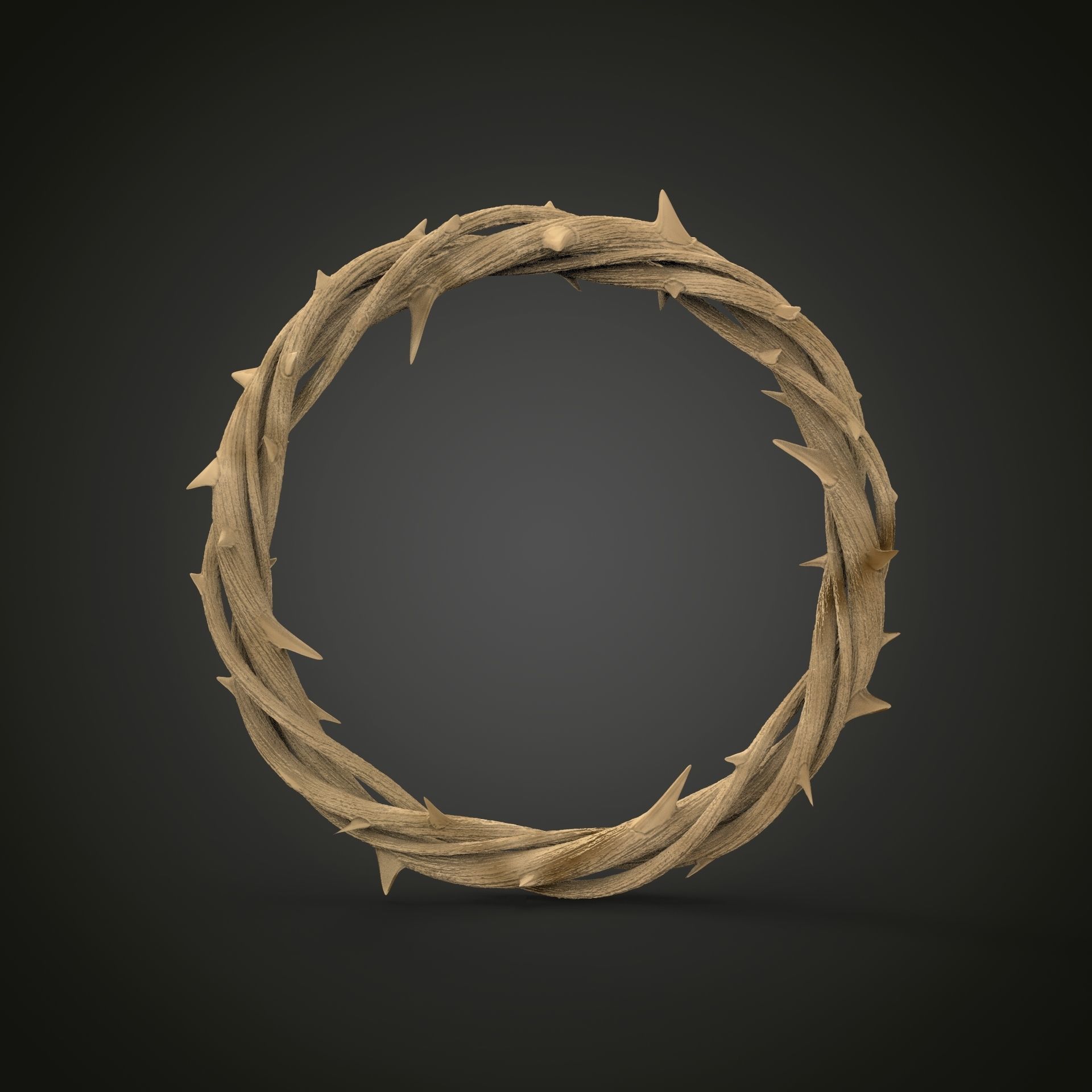 Crown of thorn 3d print model 3D print model_3