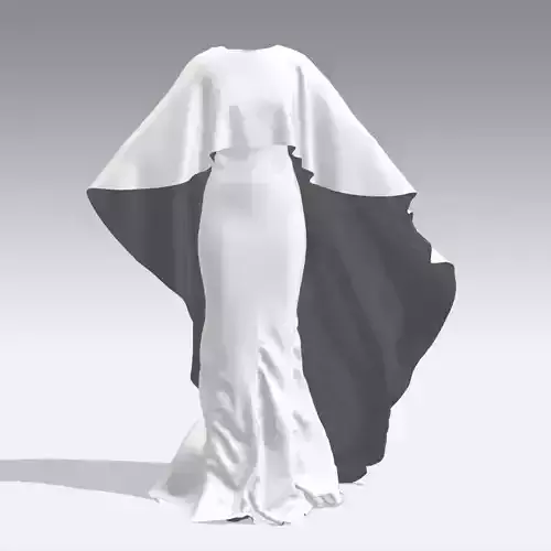 CLOAK DRESS
