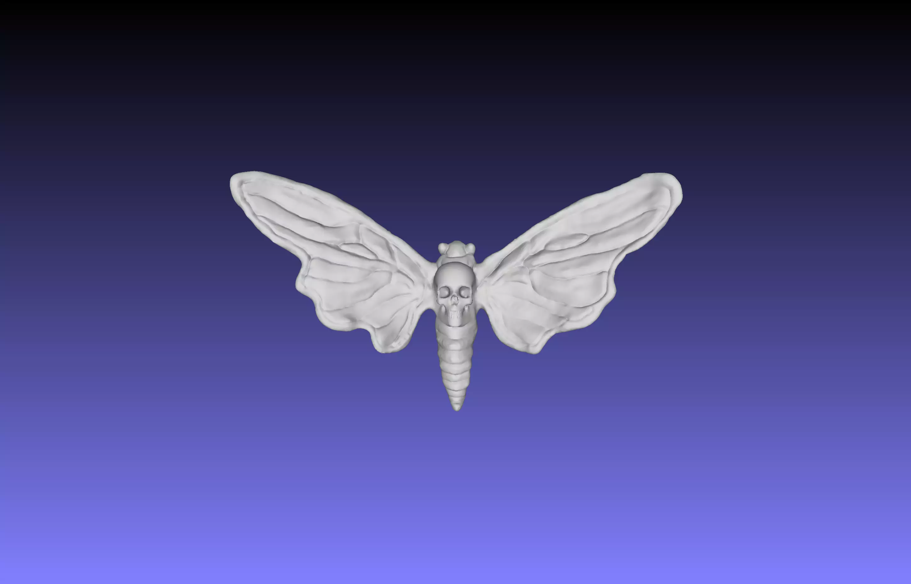 Deaths Head Hawkmoth 3D print model_0