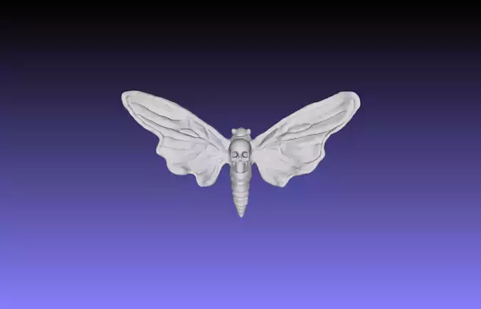 Deaths Head Hawkmoth 3D print model