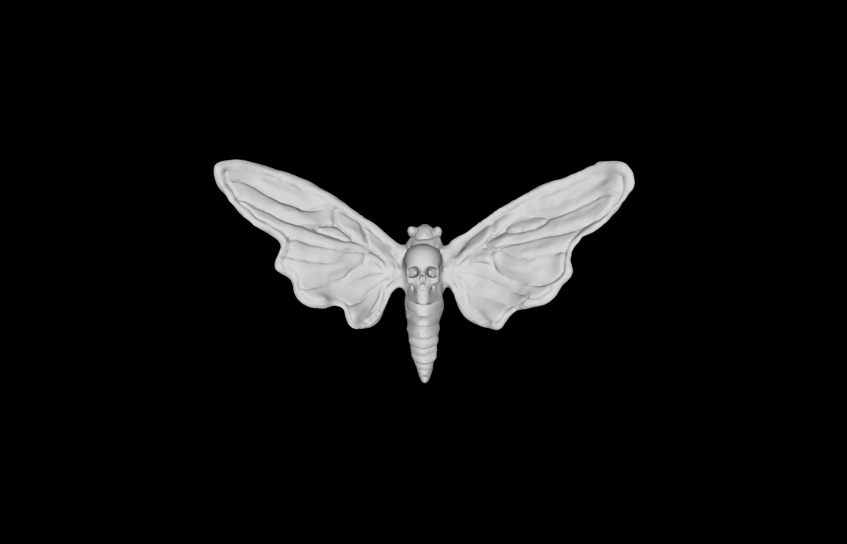 Deaths Head Hawkmoth 3D print model_1