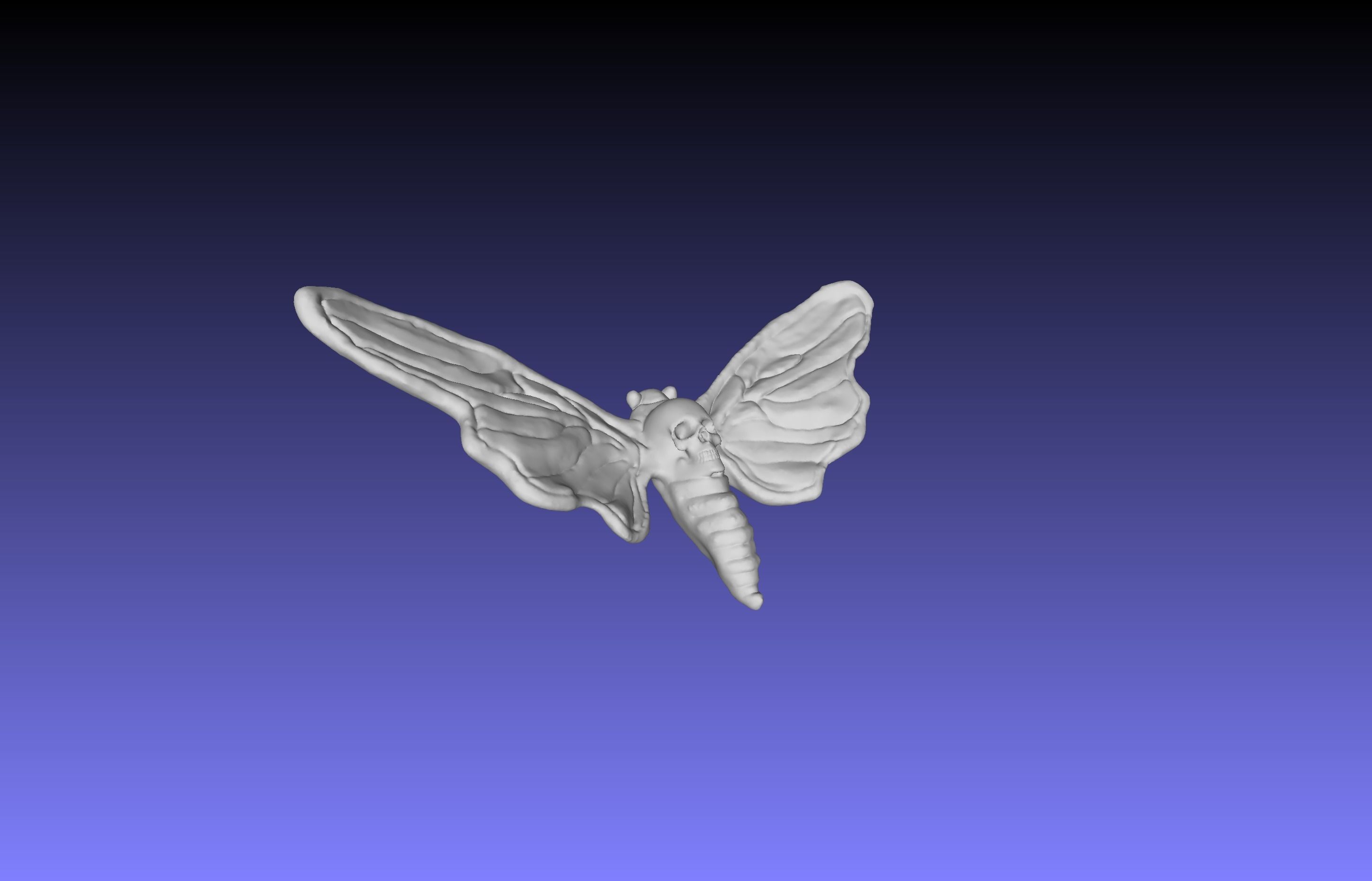 Deaths Head Hawkmoth 3D print model_4