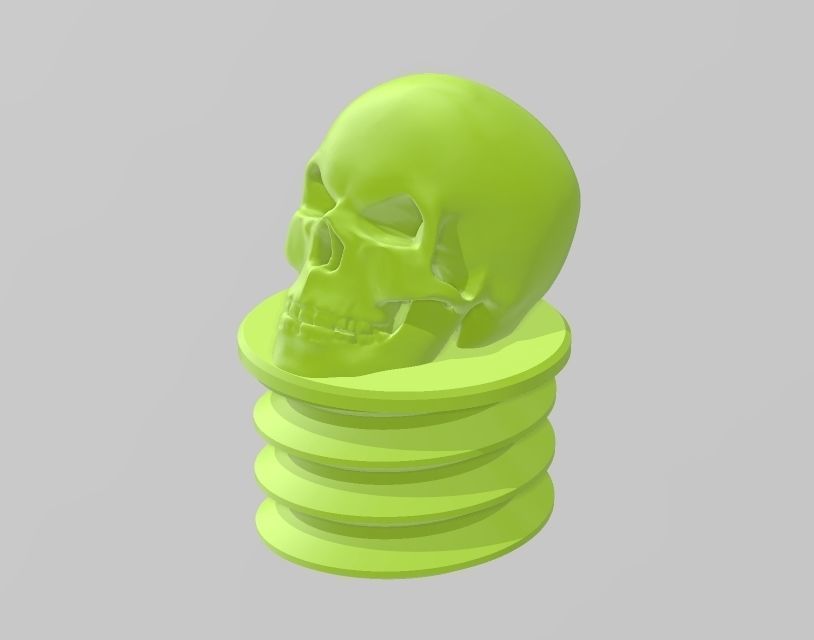 skull 3D print model
