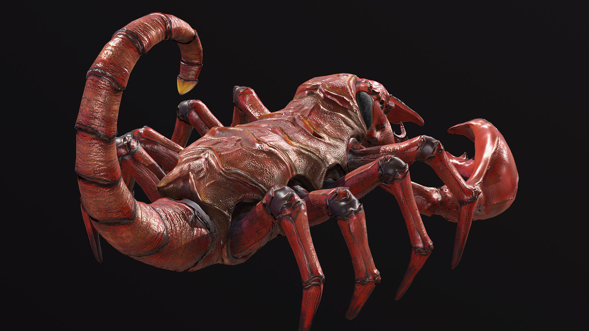 Low-poly model Scorpion Low-poly 3D model_6