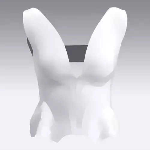 blouse korset 3D model