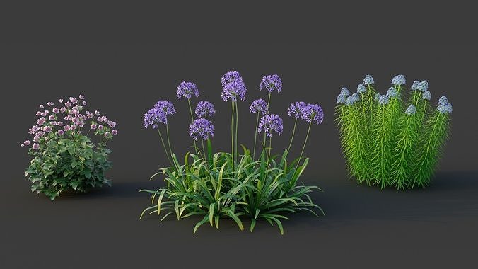 XfrogPlants Garden Flowers Pack 1  3D model