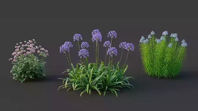 XfrogPlants Garden Flowers Pack 1  3D model