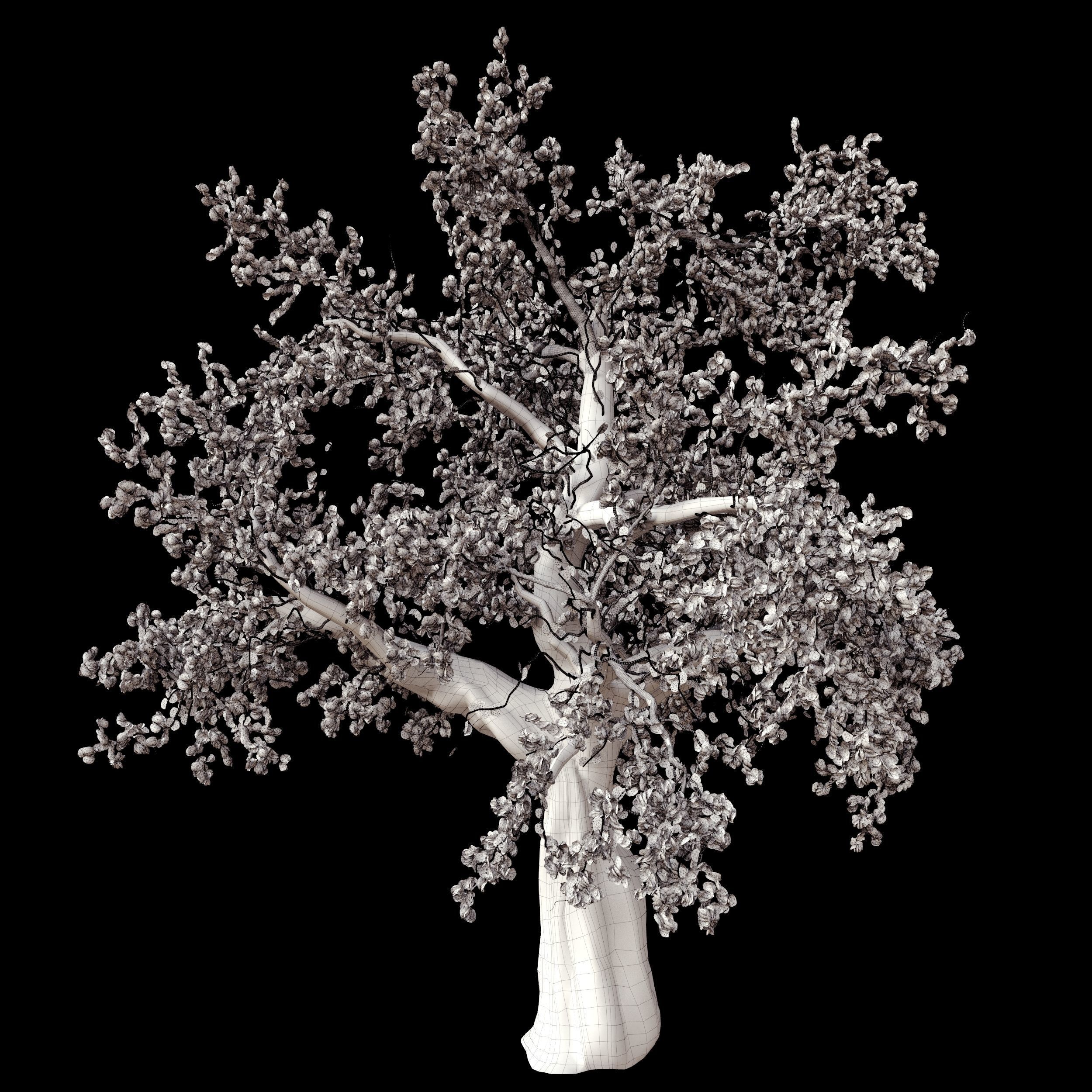 red maple tree Free 3D model_1