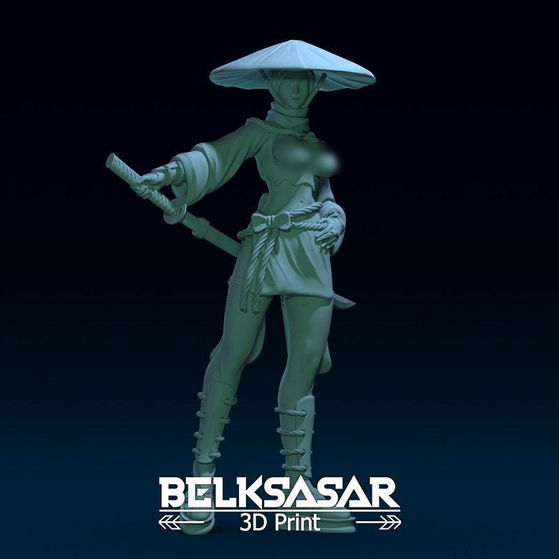 Ronin Girl Normal and Topless 3D print model_1