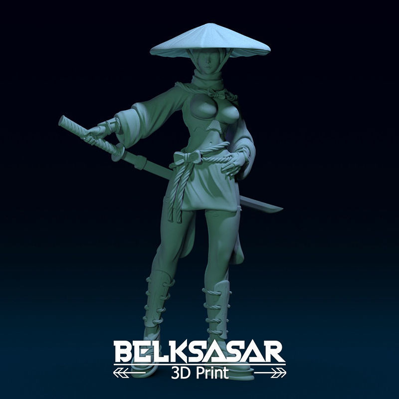 Ronin Girl Normal and Topless 3D print model_11