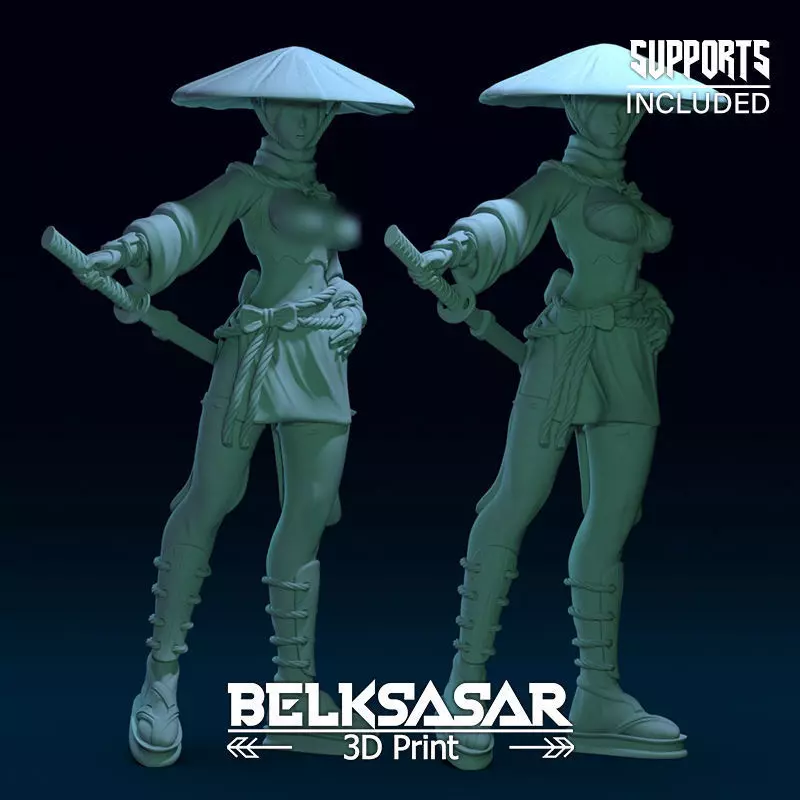 Ronin Girl Normal and Topless 3D print model_0