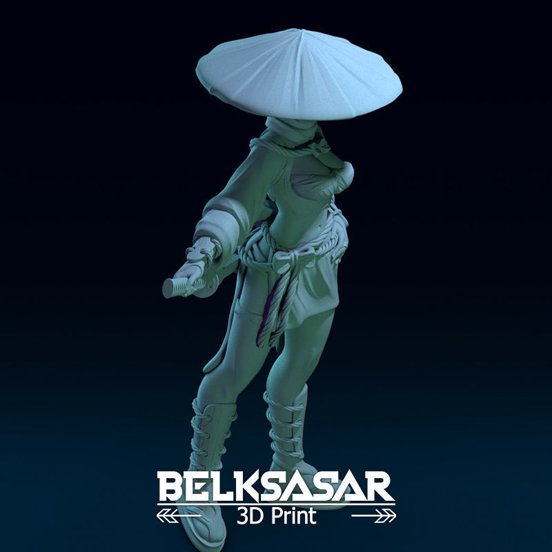 Ronin Girl Normal and Topless 3D print model_30