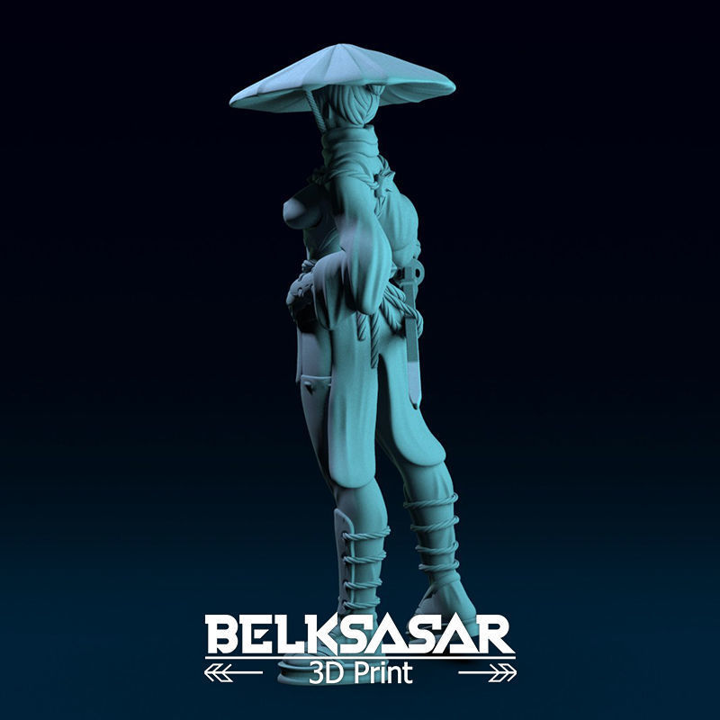 Ronin Girl Normal and Topless 3D print model_5