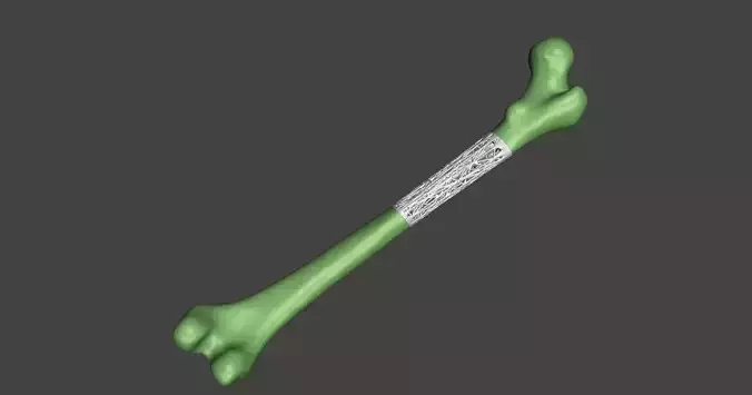 Bone with lattice 3D print model