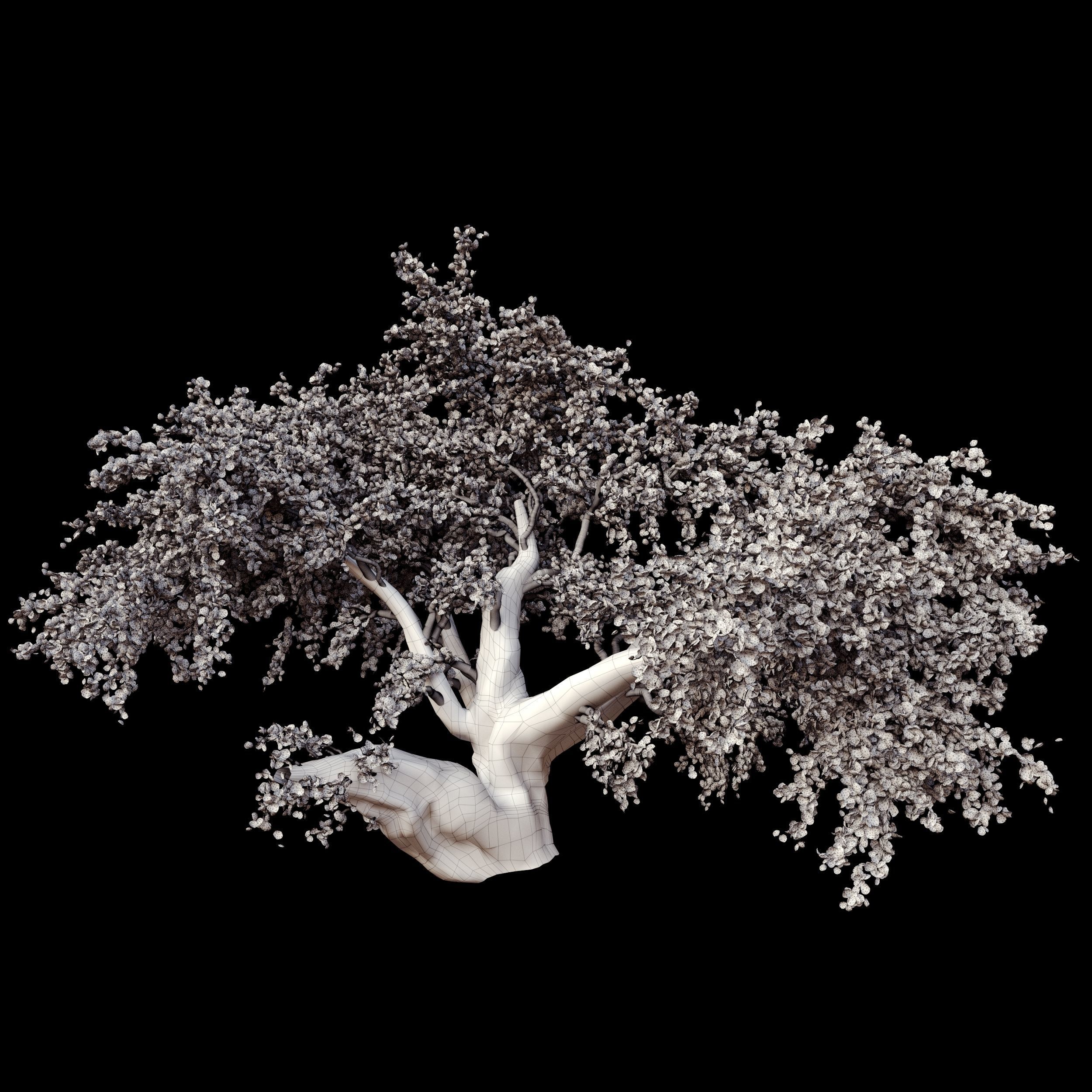 red maple tree 3D model_2