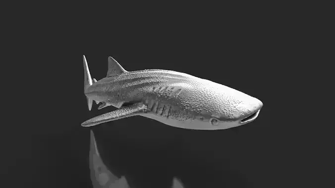 Silver Whale Shark  Miniature 3D print model