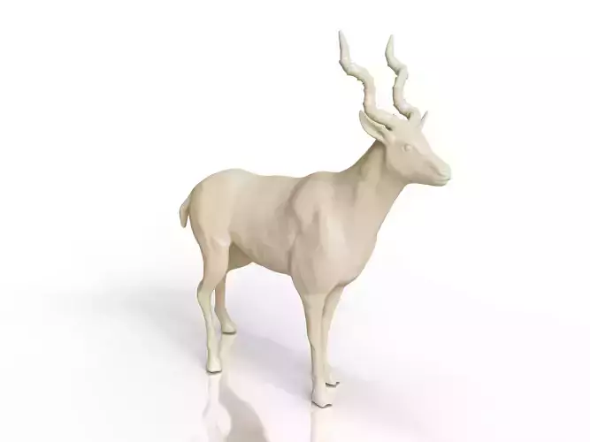 Realistic Antelope