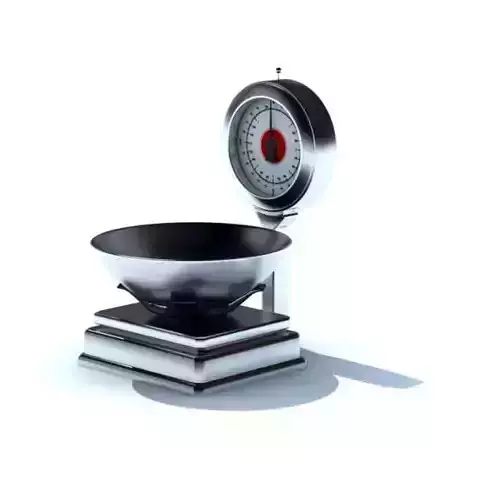 Silver Black Weighing Machine