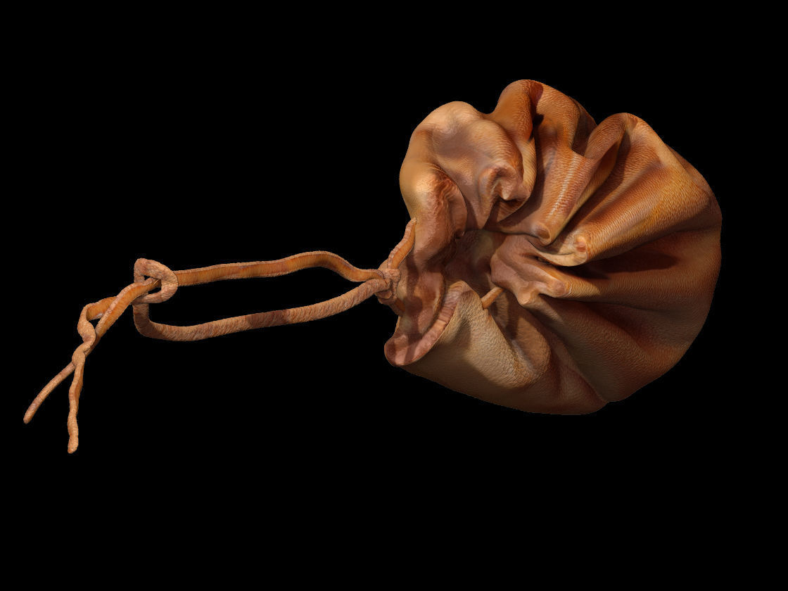 Midieval Wallet 3D scan Low-poly 3D model_11