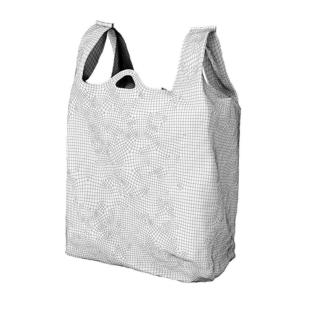 Plastic Bag 3D model_3