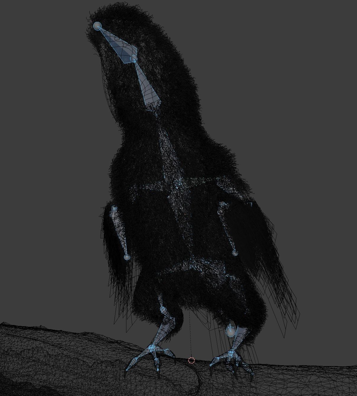 Parrot Rigged Low-poly 3D model_3