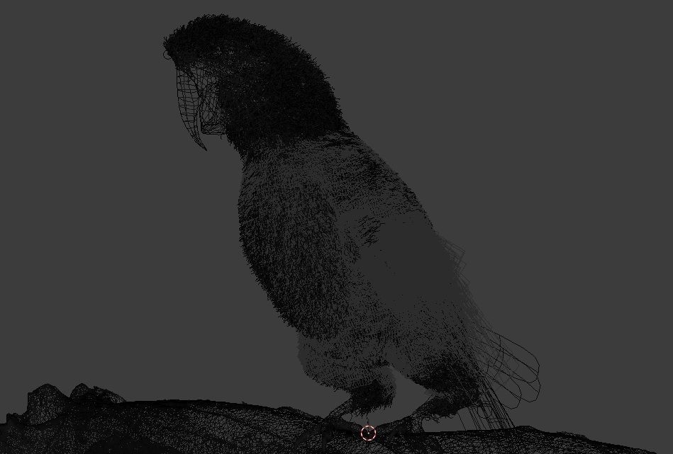 Parrot Rigged Low-poly 3D model_5