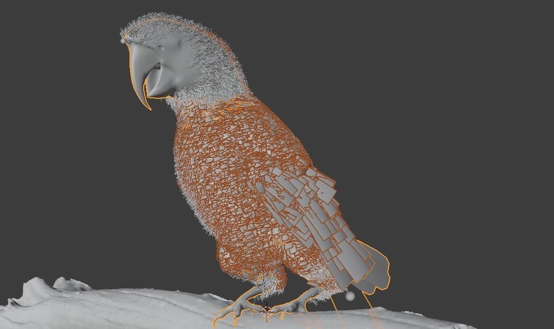 Parrot Rigged Low-poly 3D model_4