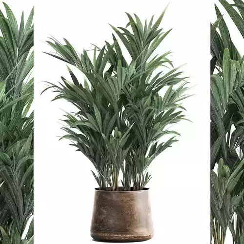 Decorative palm in a Flowerpot for the interior 924