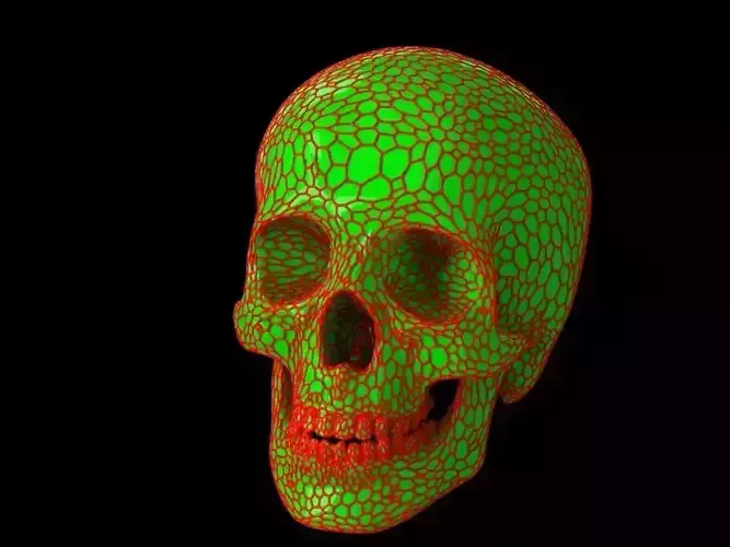 Skull with lattice 