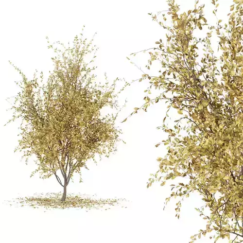 Collection plant vol 88