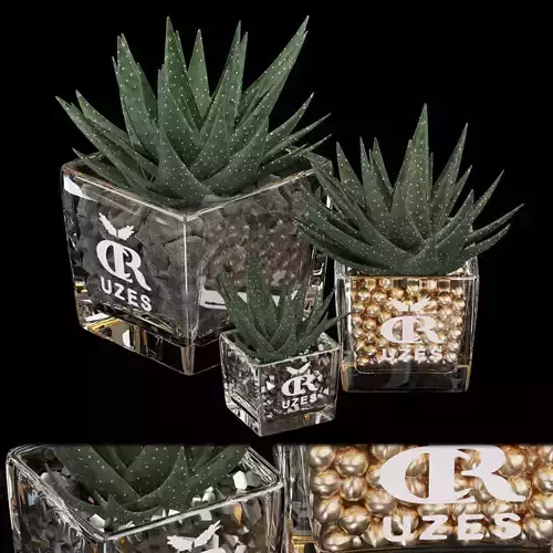 Collection plant vol 89