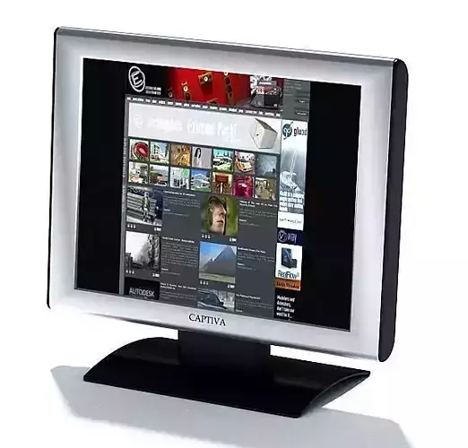 Captiva Silver Monitor