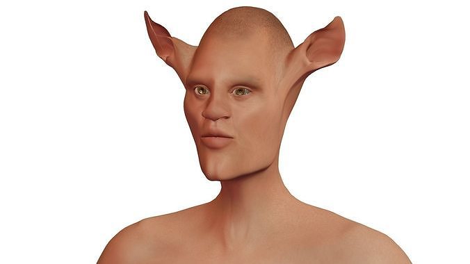Character Fantasy High-poly male 02 3D model