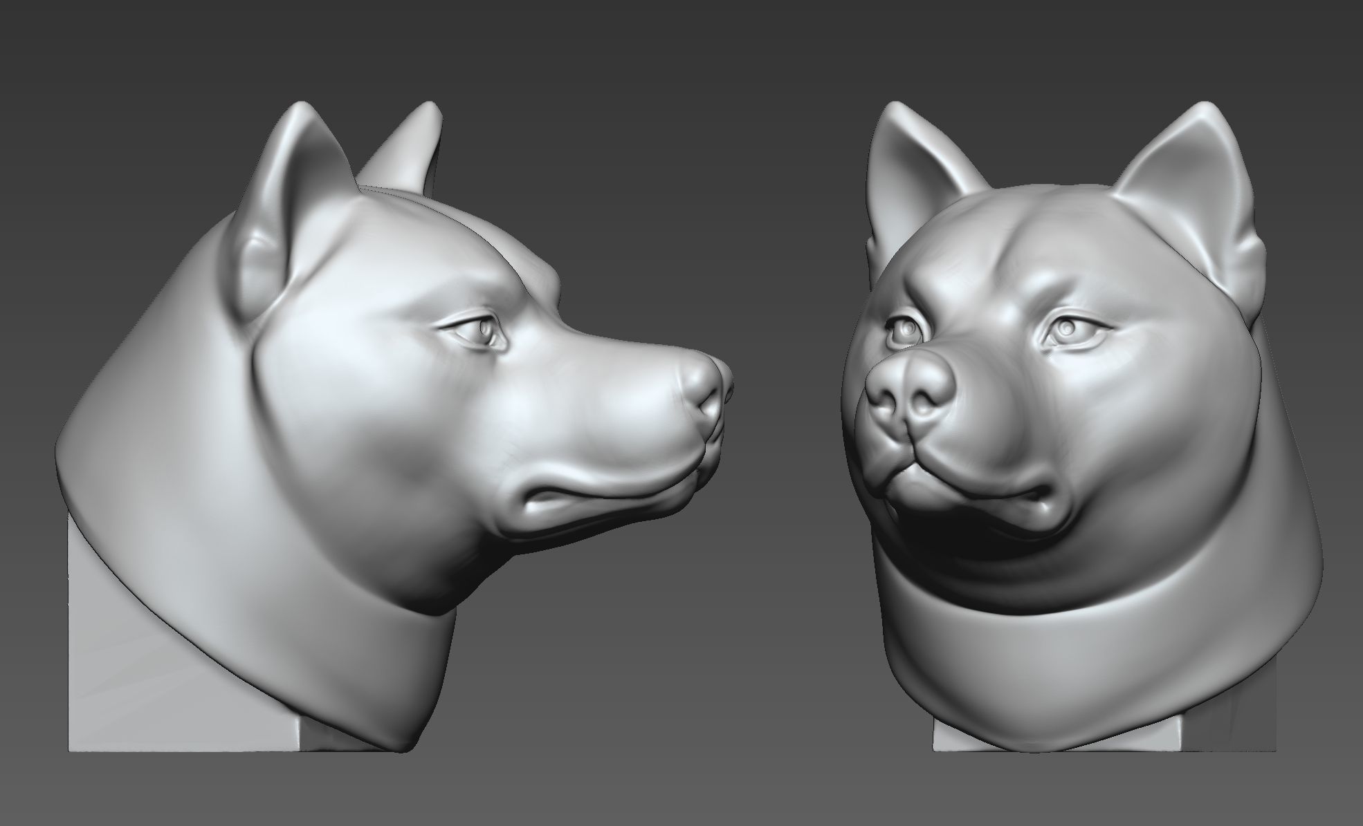 Shiba Inu 3D print model_2