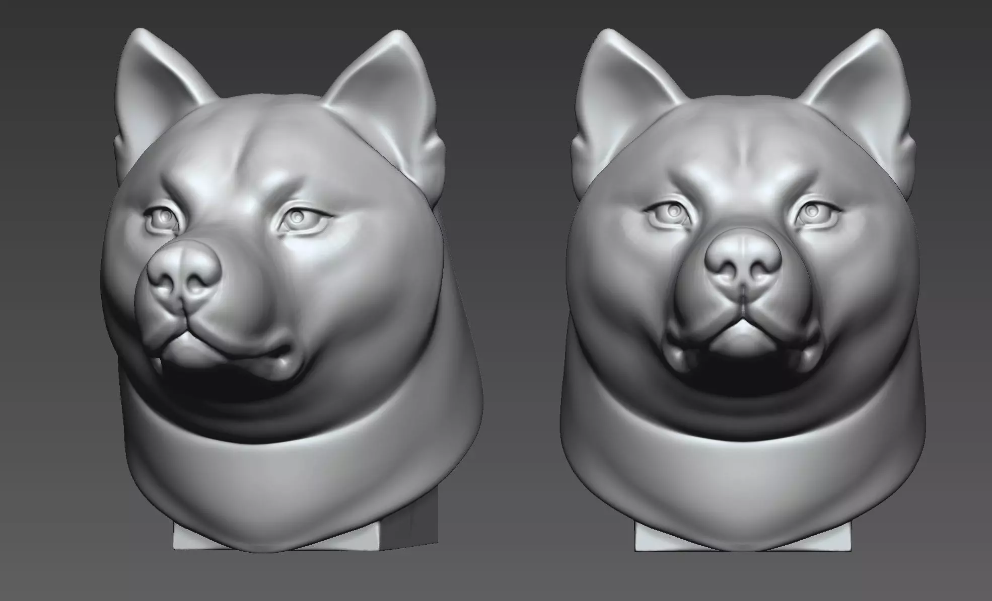 Shiba Inu 3D print model_0
