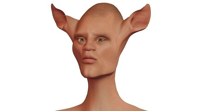 Character Fantasy High-poly male 03 3D model