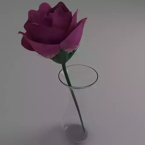 Pink Rose