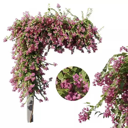 Bougainvillea artificial wisteria vine